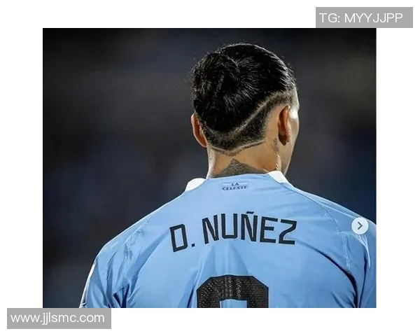 努涅斯的崛起与挑战：解析这位新星在足球界的影响力与未来潜力