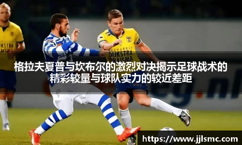 BB贝博官网入口